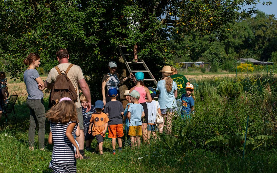 Verein Landerlebnis Weinheim sucht Mitstreiter:innen