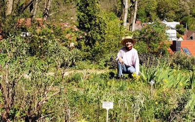 Wer will gärtnern und dem Heilkräutergarten helfen?